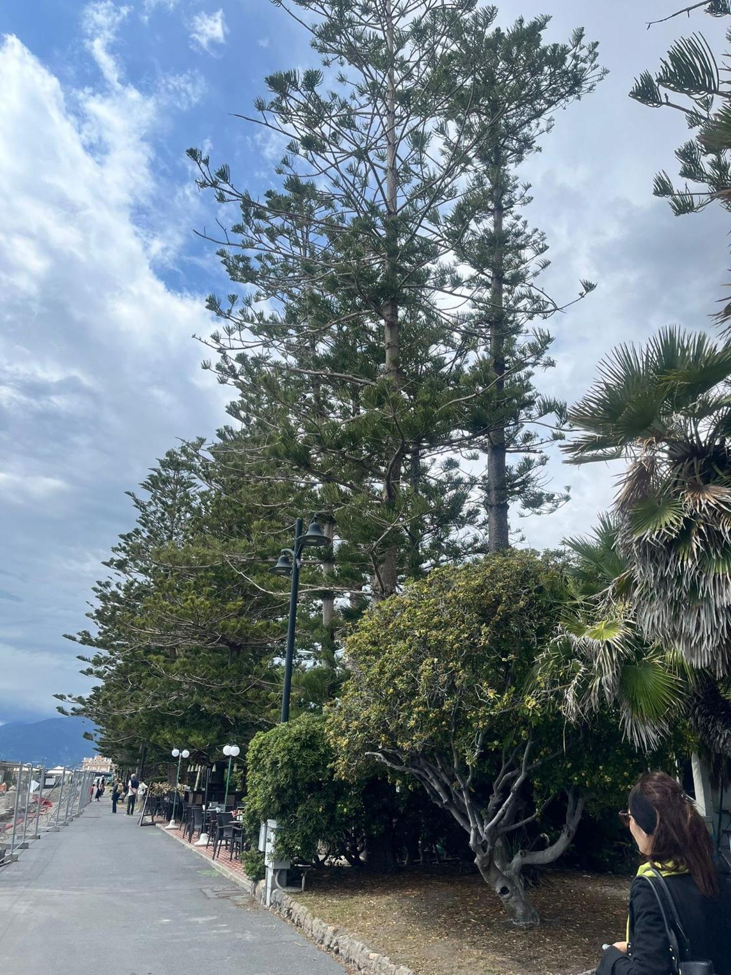 Casa Vacanza! A 50M Dal Mare! Bordighera Eksteriør bilde